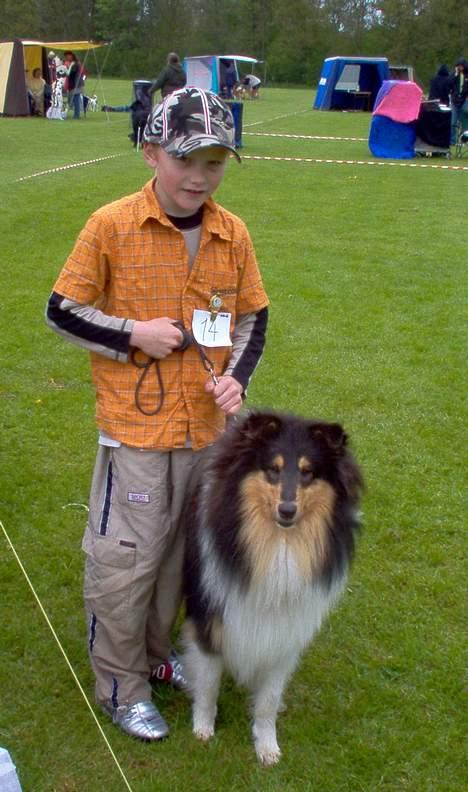 Collie langhåret Dandy - Ha ha jeg kan da også vise Mike pænt frem i ringen billede 3