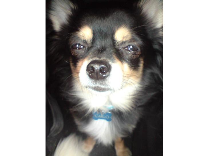 {{currentPhoto.altText}} billede {{currentPhoto.number}}