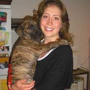 Dogo canario R.I.P <3 Freja <3