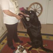 Blanding af racer Tyson