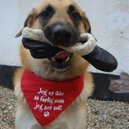 Blanding af racer Lucas