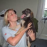 Blanding af racer Lucas