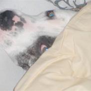 Blanding af racer Tyson Charlie Barse