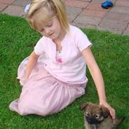 Blanding af racer Coco