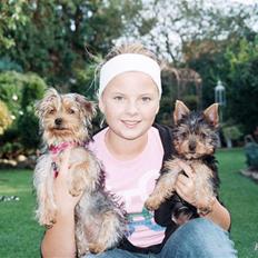 Yorkshire terrier *Little big horns Karla*