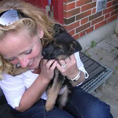 Schæferhund Taem Paka´s Rimmi