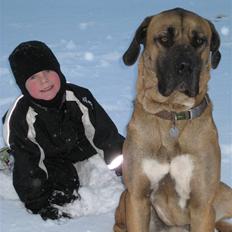 Blanding af racer Geyser