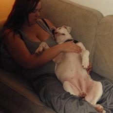 Amerikansk staffordshire terrier Miamii Baby <3 †Himmelhund†