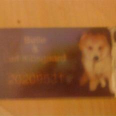 Blanding af racer bølle