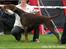 Dobermann Serbian Star V Masterhof - Sandved 2010