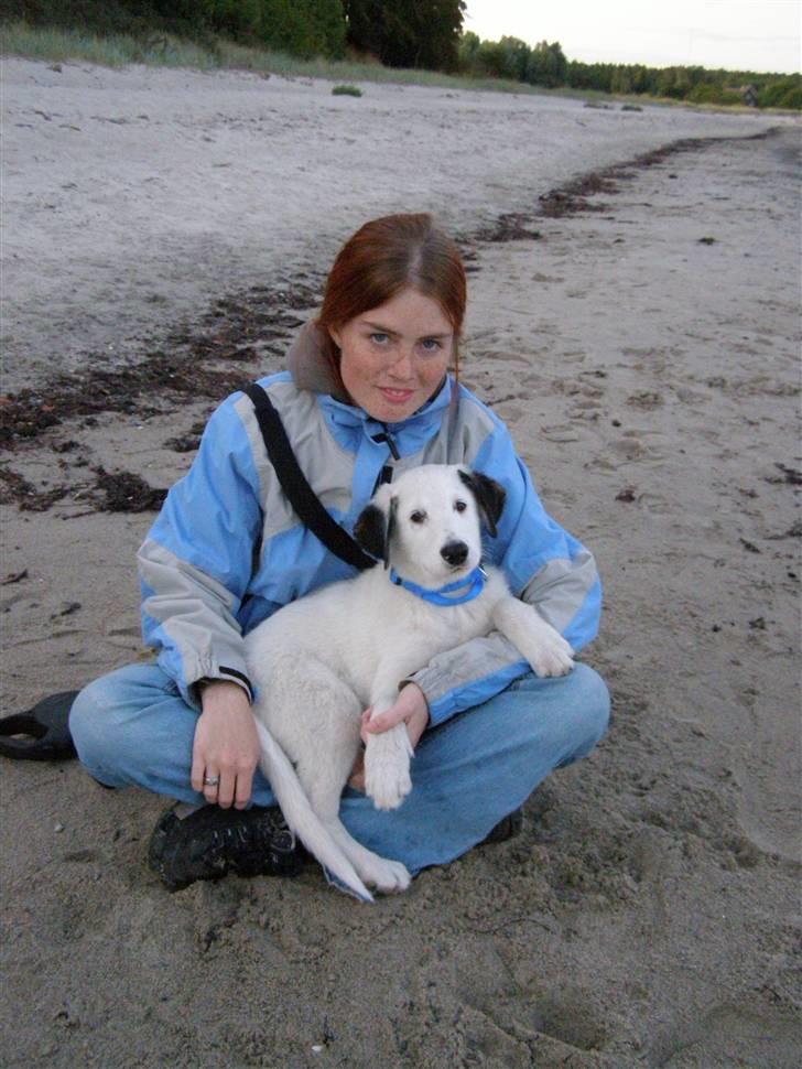 Blanding af racer Snoopy doo - Mig og "mor" billede 9