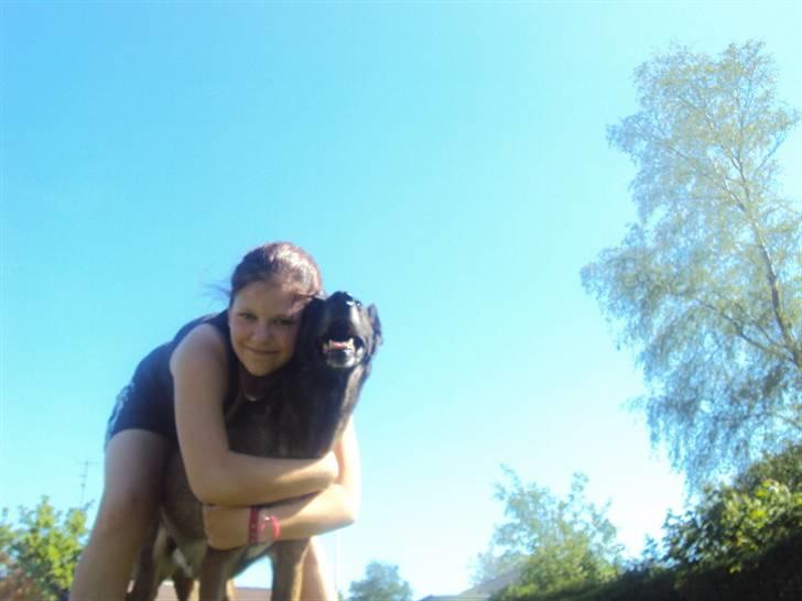 Malinois »' [Mira]  - jeg elsker dig af helemit hjerte Mira *-:<3<3 billede 14