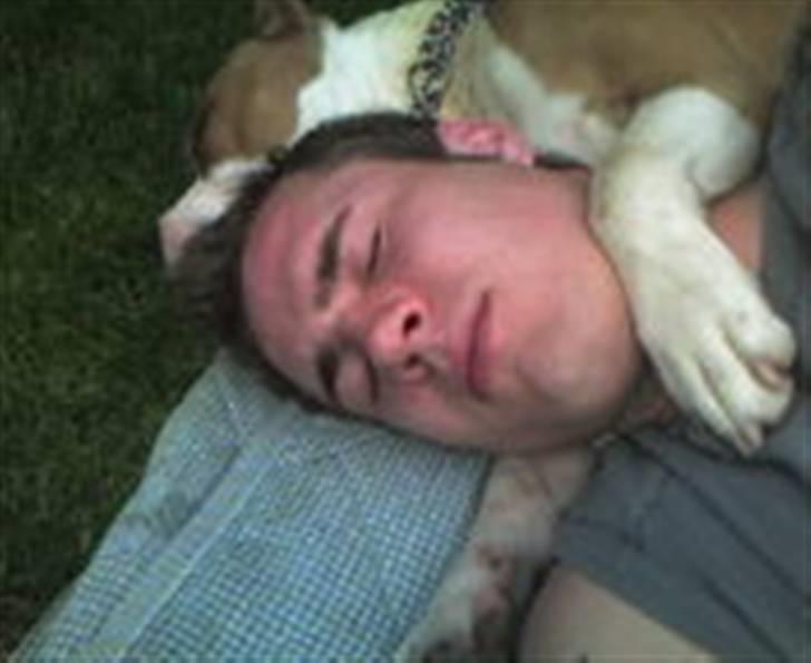 Amerikansk staffordshire terrier Tyson billede 10