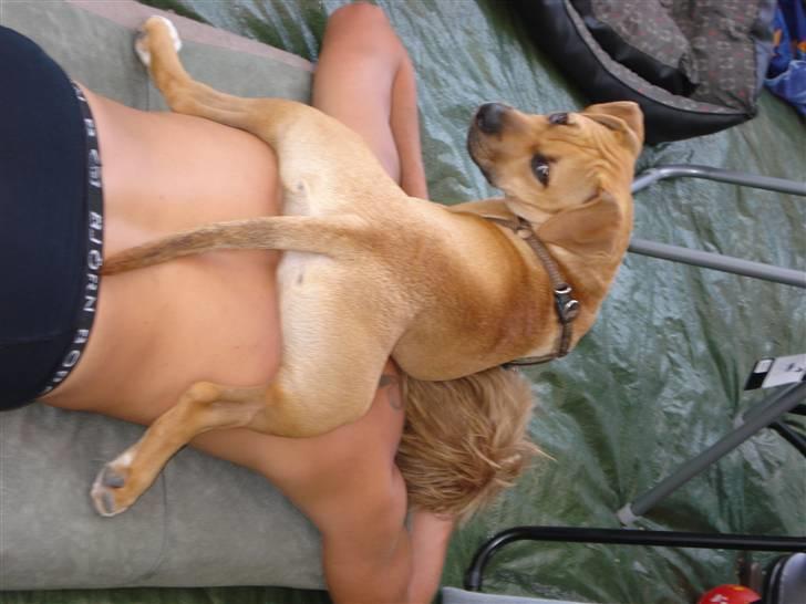 Blanding af racer gaja - camping ferie 09 .. sole tid.. billede 8