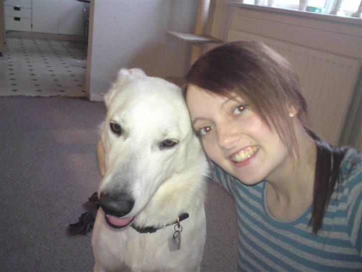 Hvid schæfer Milo - mig og min mor billede 7