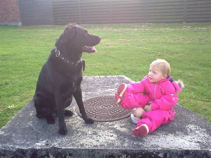 Blanding af racer Rohan - Rohan og hans ynglings træner :-) billede 13