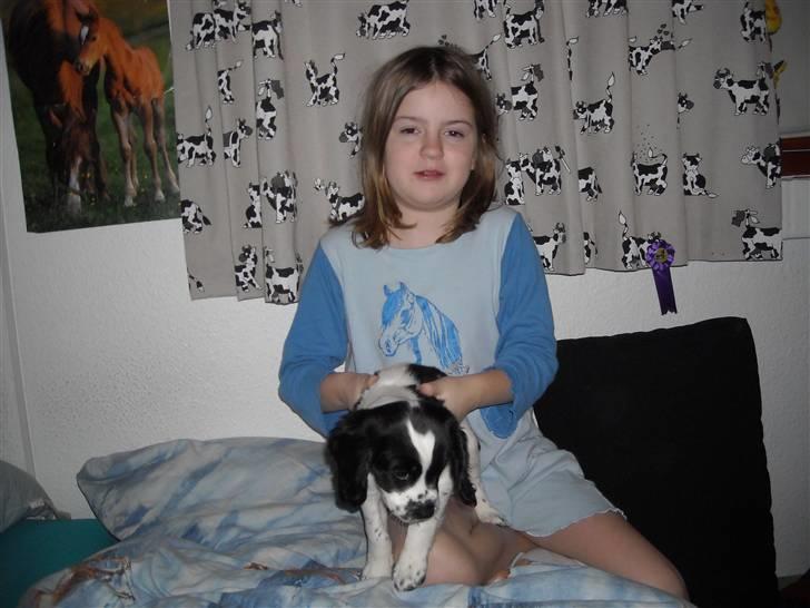 Cocker spaniel Mie - Da mig og Emma skulle sove sammen billede 14