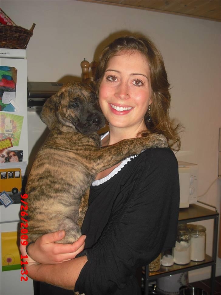 Dogo canario R.I.P <3 Freja <3  - Min nye veninde ;-) billede 2