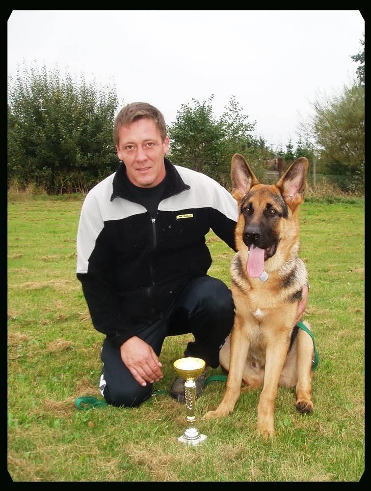 Schæferhund - "Bjarli oliver" - King - Jubiiiii.... King vandt 1. præmie til Kombiskue i Odense, hanner 6-8 mdr. billede 15