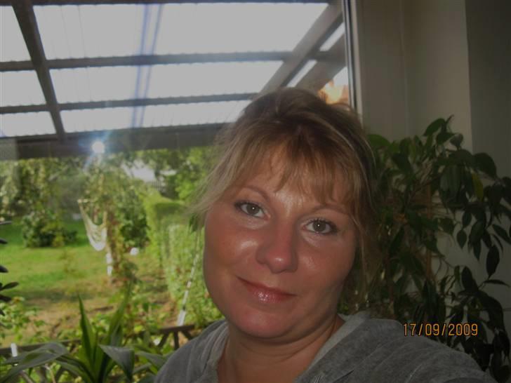 Dansk svensk gaardhund Silke - Et billede af min mor billede 19