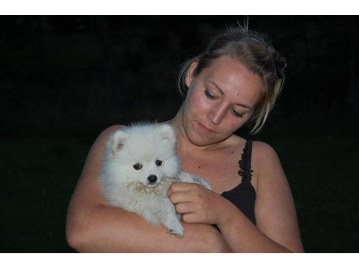 {{currentPhoto.altText}} billede {{currentPhoto.number}}