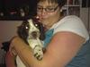 Field Trial spaniel Duchess