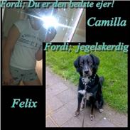 Blanding af racer Felix