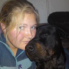 Rottweiler tais mega savnet