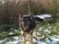 Blanding af racer Samson RIP
