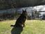 Blanding af racer Samson RIP