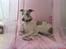 Whippet Newkins Killian "Bobby"