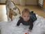 Beagle Gambey - Hun dufter nu ret godt!