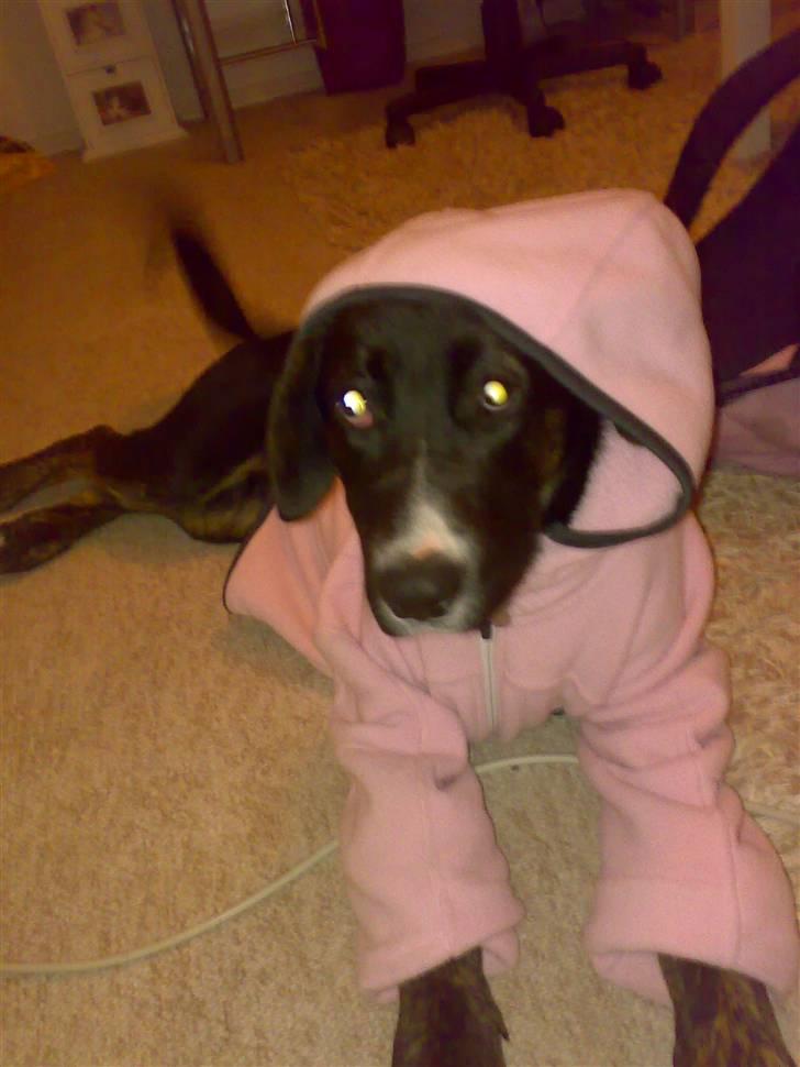 Blanding af racer Malibu solgt :,) billede 13