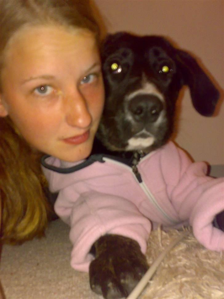 Blanding af racer Malibu solgt :,) billede 14