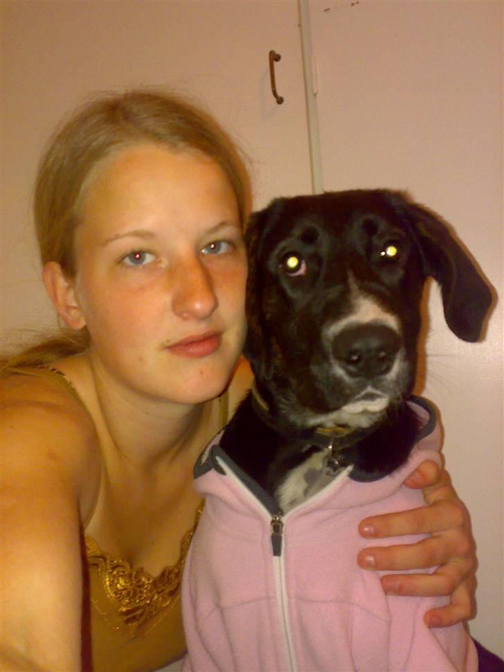 Blanding af racer Malibu solgt :,) billede 15