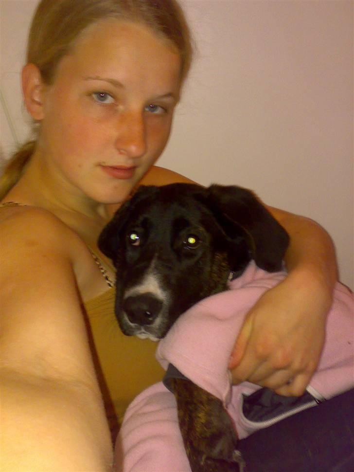 Blanding af racer Malibu solgt :,) billede 16