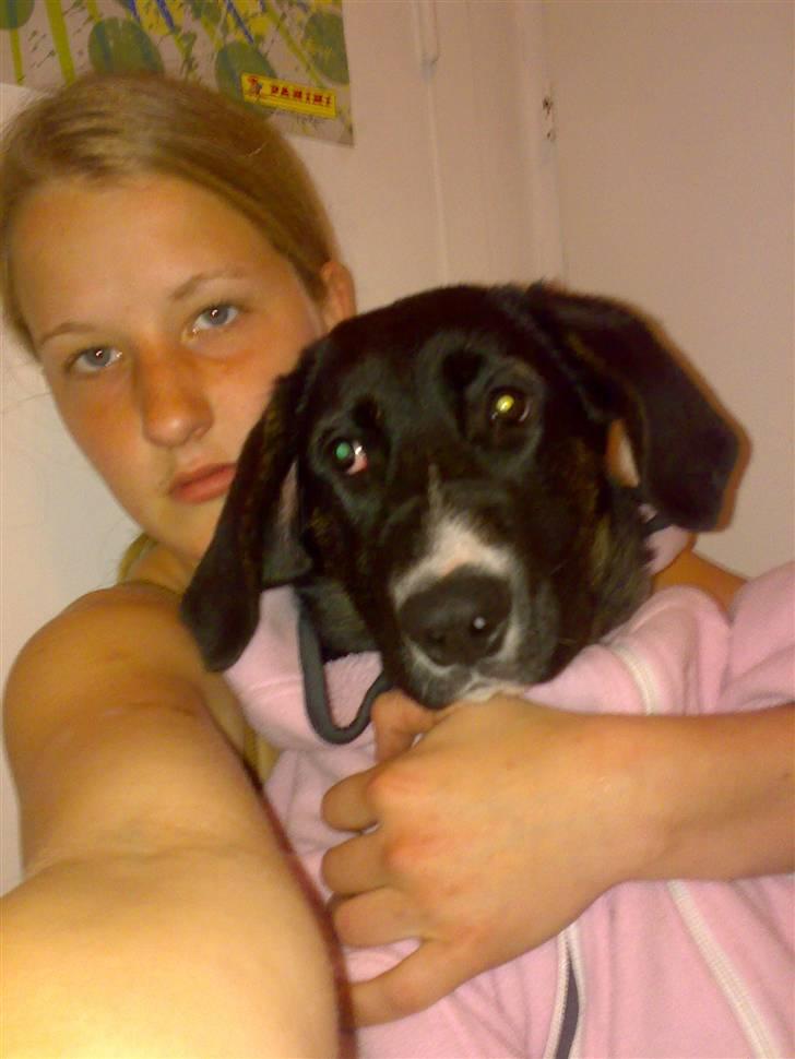 Blanding af racer Malibu solgt :,) billede 17