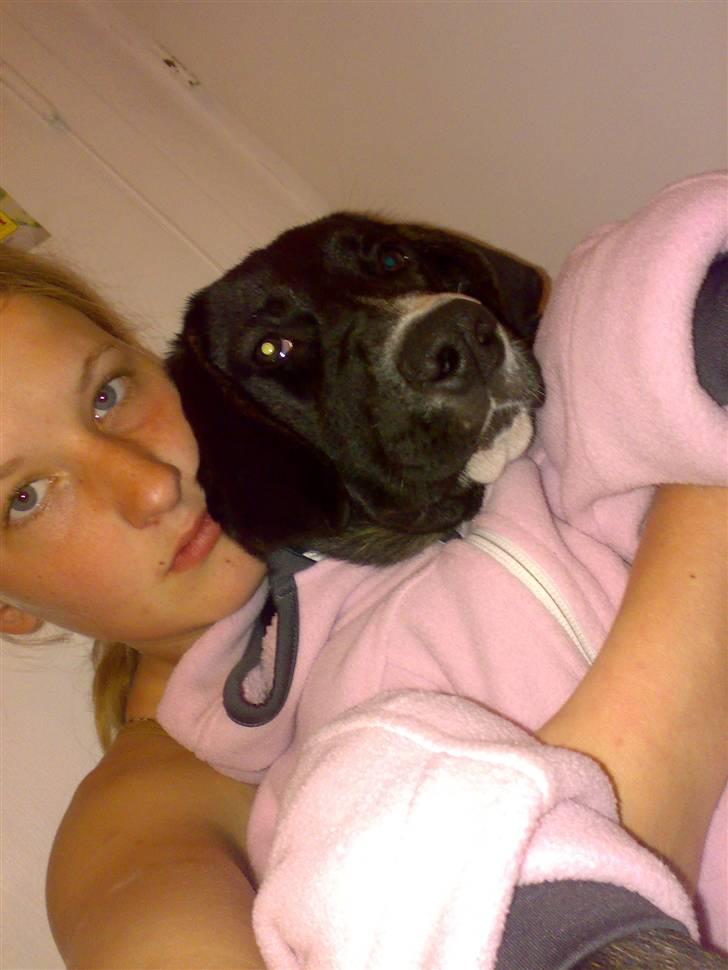 Blanding af racer Malibu solgt :,) billede 18