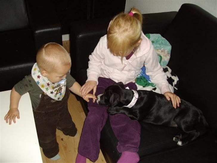 Blanding af racer gala - nyder at ha børn på besøg :D billede 9