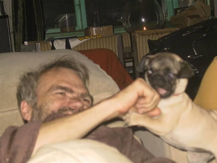 Mops bertha - yubiie bonanza jeg er den farlige bjergløve  billede 12