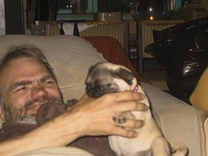 Mops bertha - snyyyyd ikke skubbe unfair billede 13