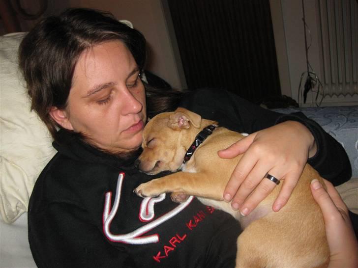 Blanding af racer Peanut   RIP. billede 17