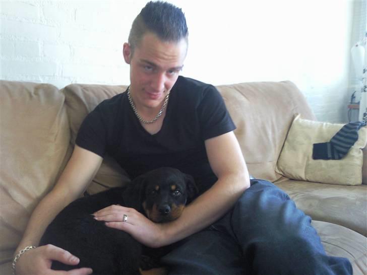 Rottweiler King *Solgt* :( - Her ligger jeg med en af mine ejere :) De har gjort mig meget glad :)  billede 8