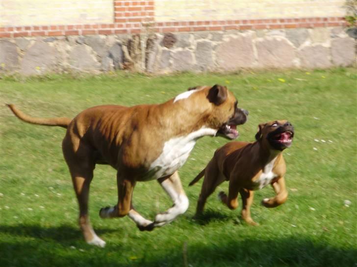 Blanding af racer Alonso - Alonso løber om kap med sin far Carlos :) billede 7
