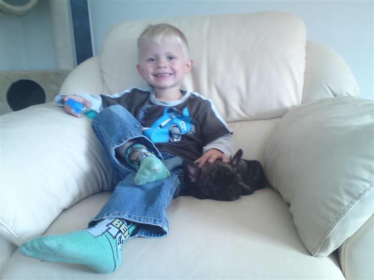 Fransk bulldog ***Pumba*** - Pumba putter med min søn på 3år billede 10