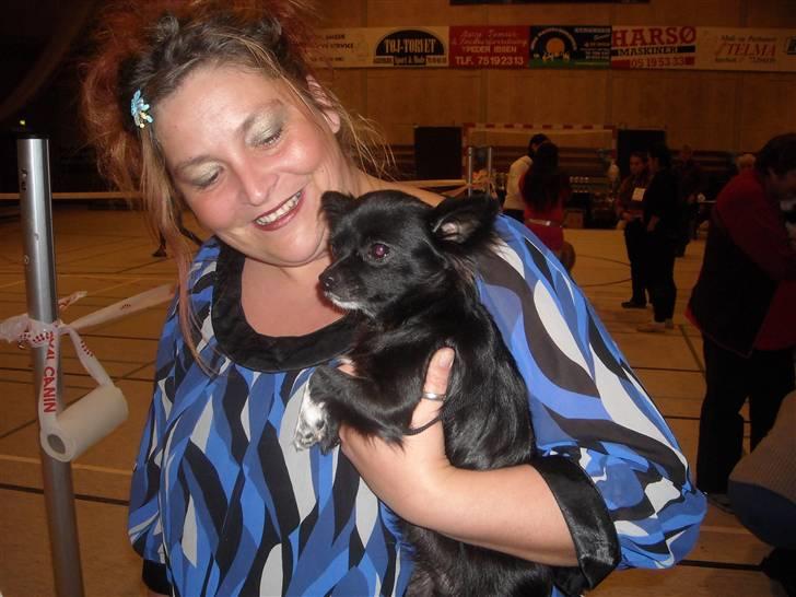 Chihuahua Thea - thea og mor venter på at komme ind til vores første udstilling  billede 12