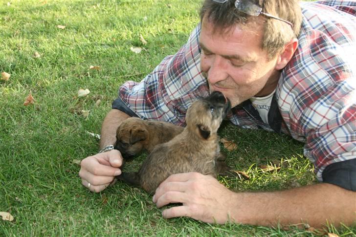 Cairn terrier Cairn-Bechgaard`s Freja  - Sif og Balder hos "morfar" billede 19