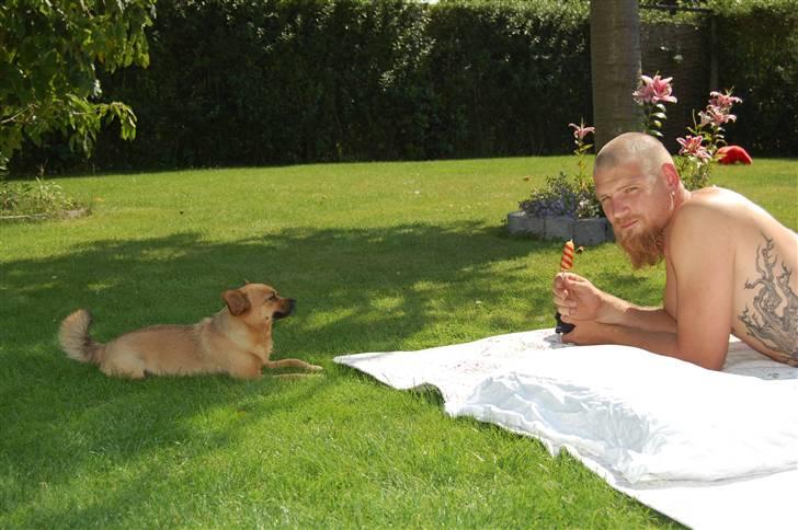 Blanding af racer bianca - Jeg tigger da ikke.. gør jeg ??? "jacom: MIN IS..!!! billede 19