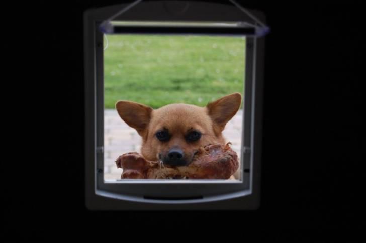 Blanding af racer bianca - Ja nu har du lært at bruge lemmen, med den der kommer du altså ikke ind med. basta!!! billede 20