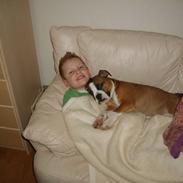 Olde english bulldogge Frida aka annemone